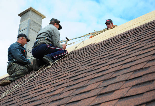 Best Gutter Installation and Roofing  in Springdale, OH